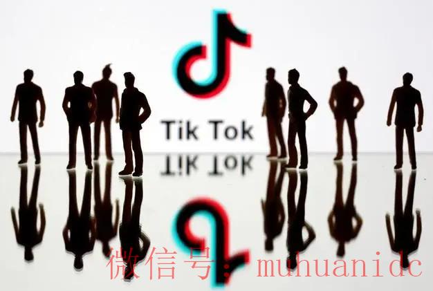 tiktok账号购买平台