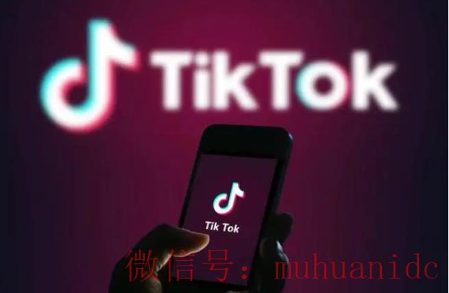 tiktok账号购买平台