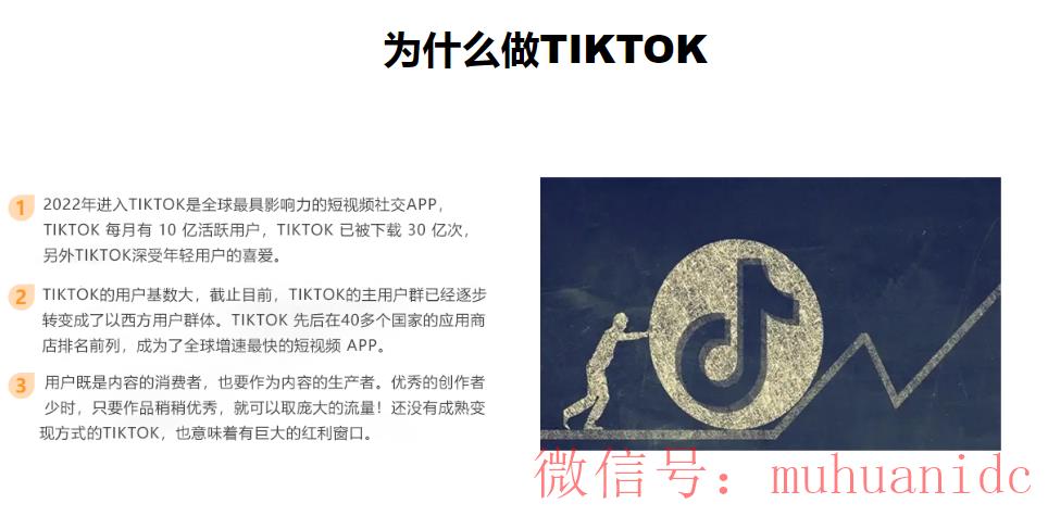 tiktok账号购买平台