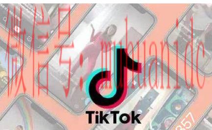 tiktok账号购买平台