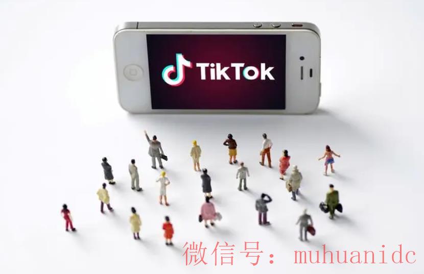 tiktok账号购买平台