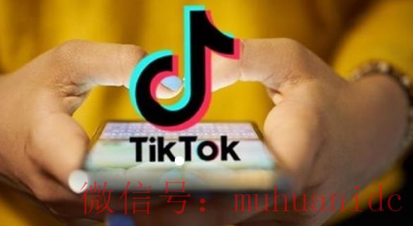 tiktok账号购买平台