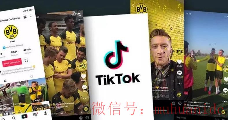 tiktok账号购买平台