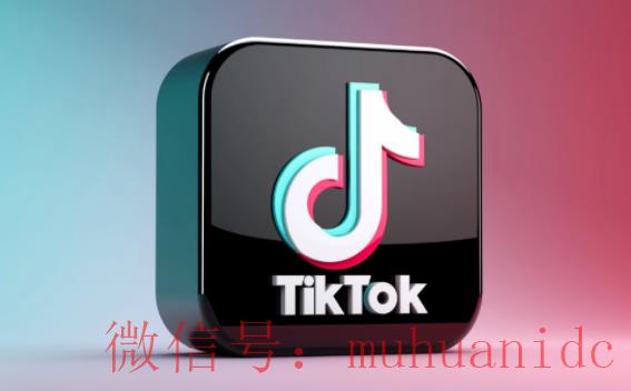 tiktok账号购买平台