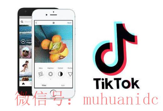 tiktok账号购买平台