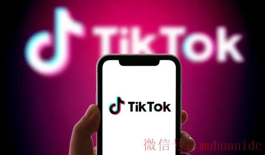 tiktok账号购买平台
