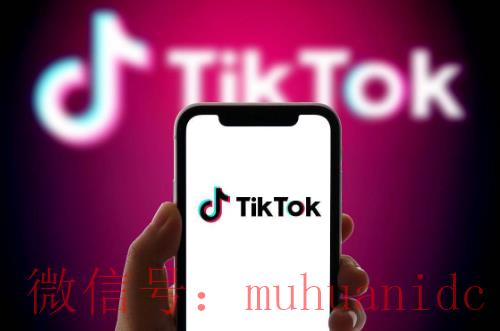 tiktok账号购买平台