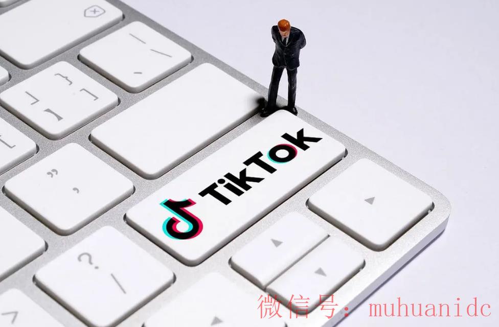 tiktok账号购买平台