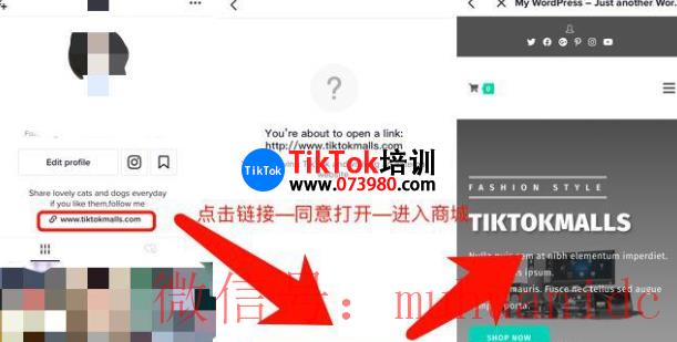 tiktok账号购买平台