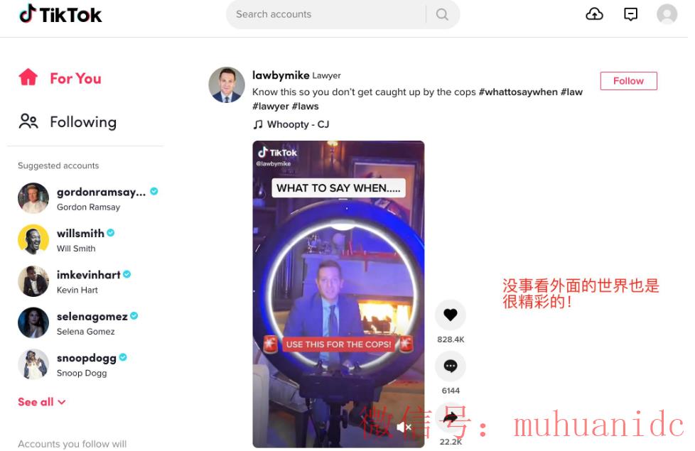 tiktok账号购买平台