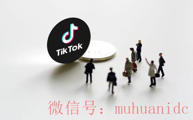 tiktok账号购买平台