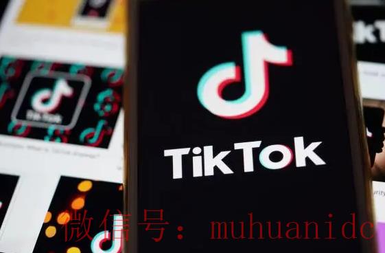 tiktok账号购买平台