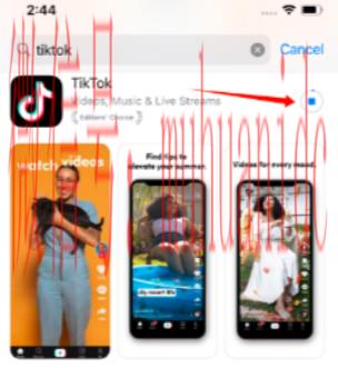 tiktok账号购买平台