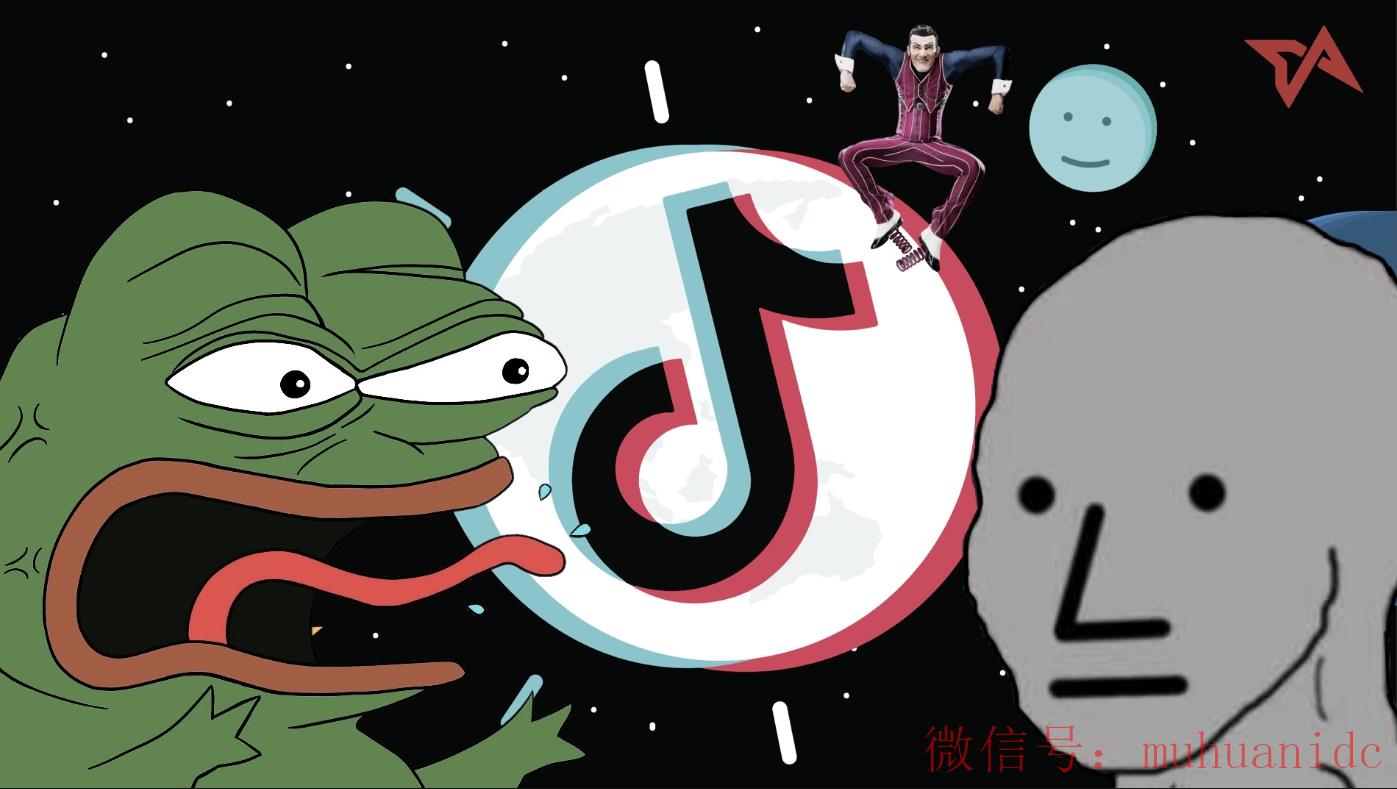 tiktok账号购买平台