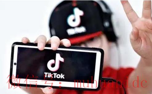 tiktok账号购买平台