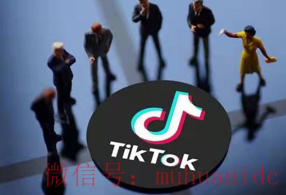 tiktok账号购买平台