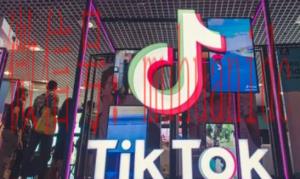 tiktok账号购买平台