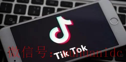 tiktok账号购买平台