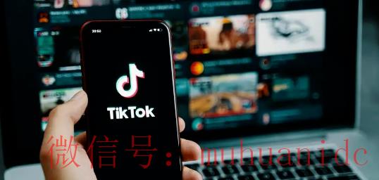 tiktok账号购买平台