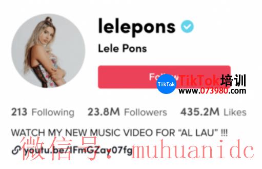 tiktok账号购买平台