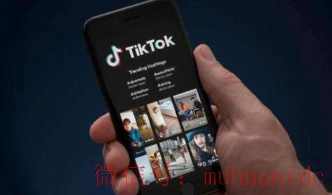 tiktok账号购买平台