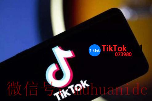 tiktok账号购买平台