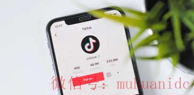 tiktok账号购买平台