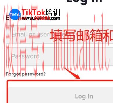 tiktok账号购买平台