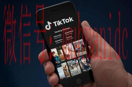 tiktok账号购买平台