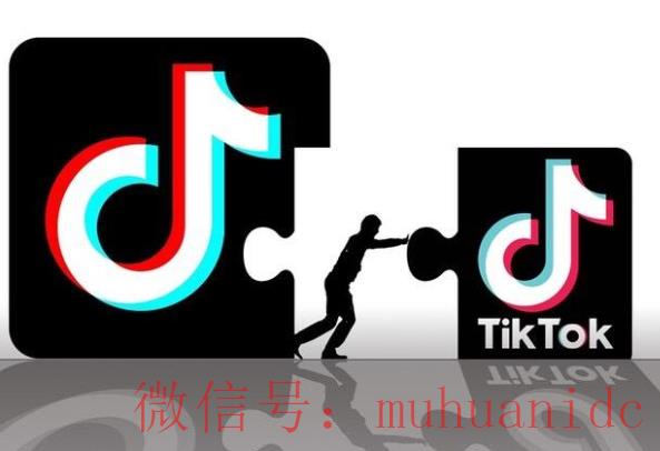 tiktok账号购买平台