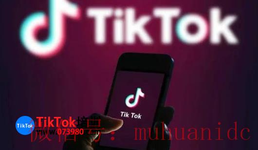 tiktok账号购买平台