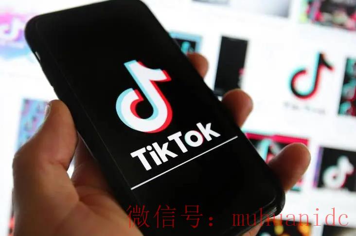 tiktok账号购买平台