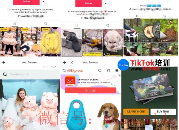 tiktok账号购买平台