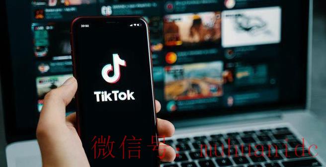tiktok账号购买平台