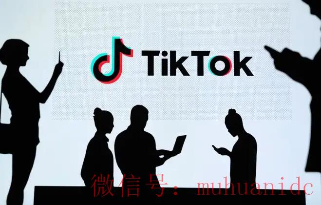 tiktok账号购买平台