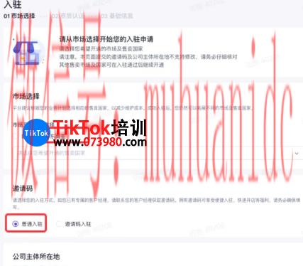 tiktok账号购买平台