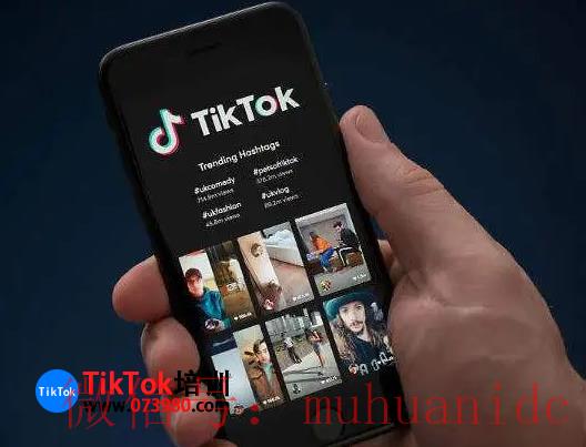 tiktok账号购买平台