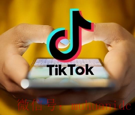 tiktok账号购买平台