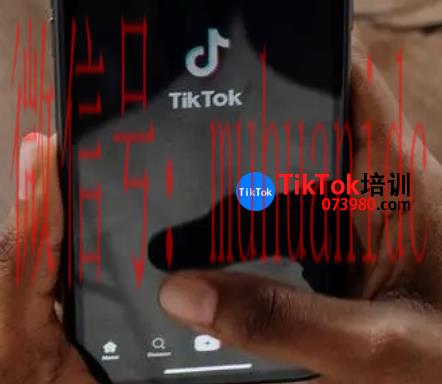 tiktok账号购买平台