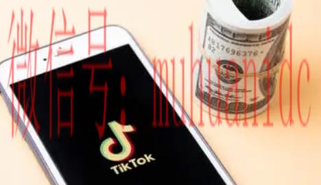 tiktok账号购买平台