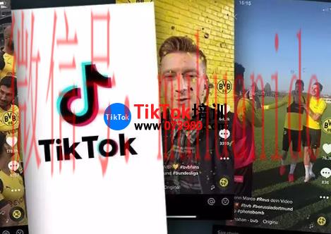 tiktok账号购买平台