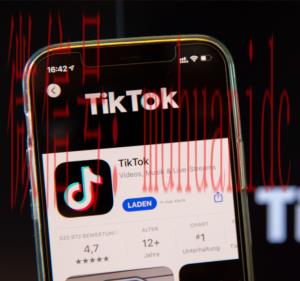 tiktok账号购买平台