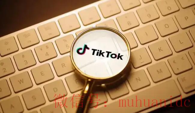 tiktok账号购买平台