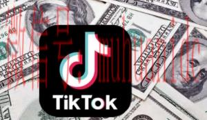 tiktok账号购买平台