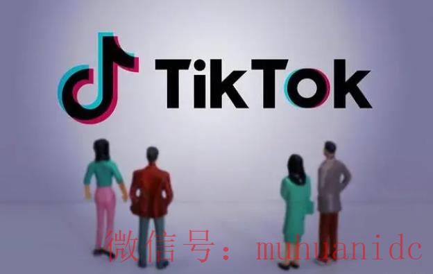 tiktok账号购买平台