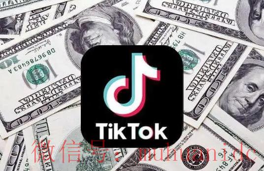 tiktok账号购买平台