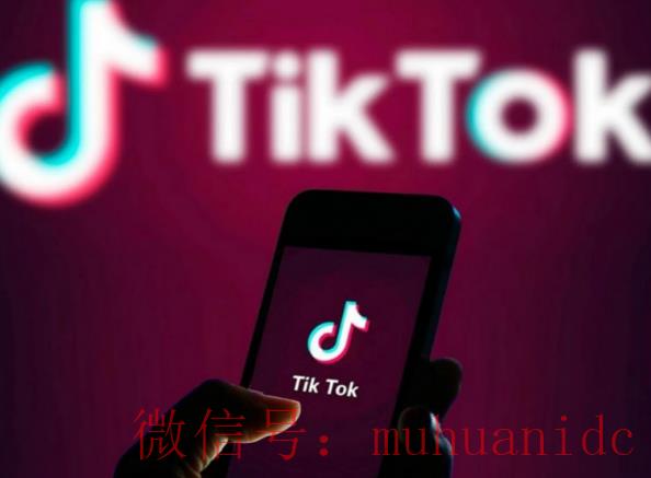 tiktok账号购买平台