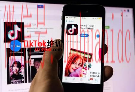 tiktok账号购买平台