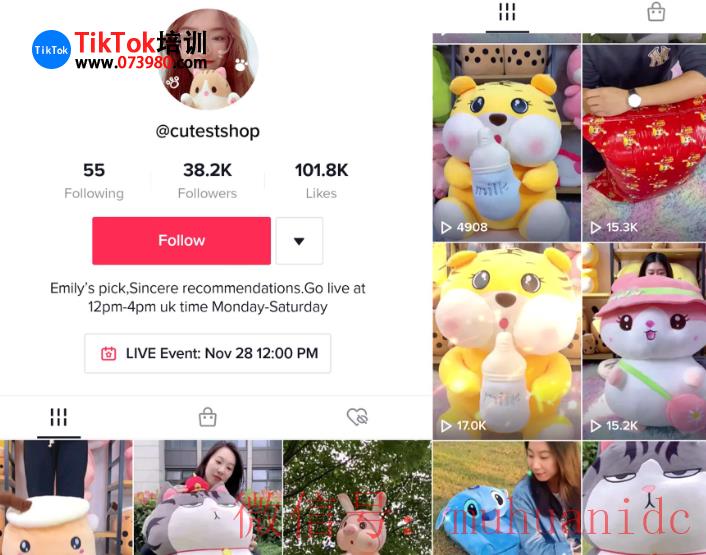 tiktok账号购买平台