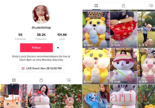 tiktok账号购买平台